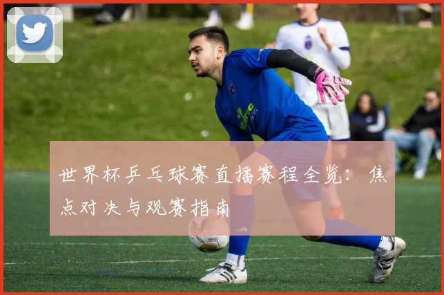 世界杯乒乓球赛直播赛程全览：焦点对决与观赛指南