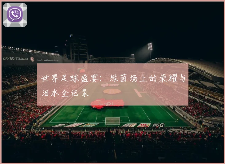 世界足球盛宴：绿茵场上的荣耀与泪水全记录